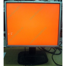 Монитор 19" TFT HP 1955 (DVI в Челябинске, USB-хаб) "квадратный" (Челябинск)