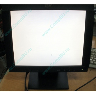 Монитор 17" TFT IBM ThinkVision 6734-LB1 (Челябинск)