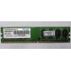 Модуль оперативной памяти 4Gb DDR2 Patriot PSD24G8002 pc-6400 (800MHz)  (Челябинск)