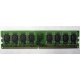Модуль оперативной памяти 4096Mb DDR2 Patriot PSD24G8002 pc-6400 (800MHz)  (Челябинск)