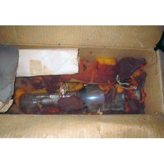 13ЛН8 (Челябинск)