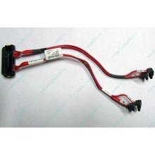 SATA-кабель для корзины HDD HP 451782-001 459190-001 для HP ML310 G5 (Челябинск)