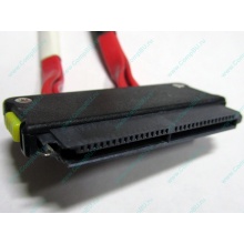 SATA-кабель для корзины HDD HP 451782-001 459190-001 для HP ML310 G5 (Челябинск)