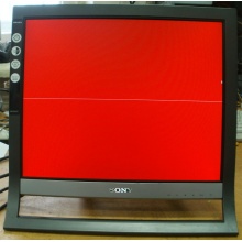 Монитор 17" TFT Sony SDM-HS75 (Челябинск)