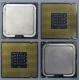 Процессоры Intel Pentium-4 506 (2.66GHz /1Mb /533MHz) SL8J8 s.775 (Челябинск)