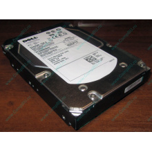 Жесткий диск 300Gb 15k Dell 9CH066-050 6G SAS (Seagate Cheetach ST3300656SS 15K.6) - Челябинск