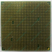 Процессор AMD Sempron 3000+ (1.6GHz) SDA3000IAA3CN s.AM2 (Челябинск)